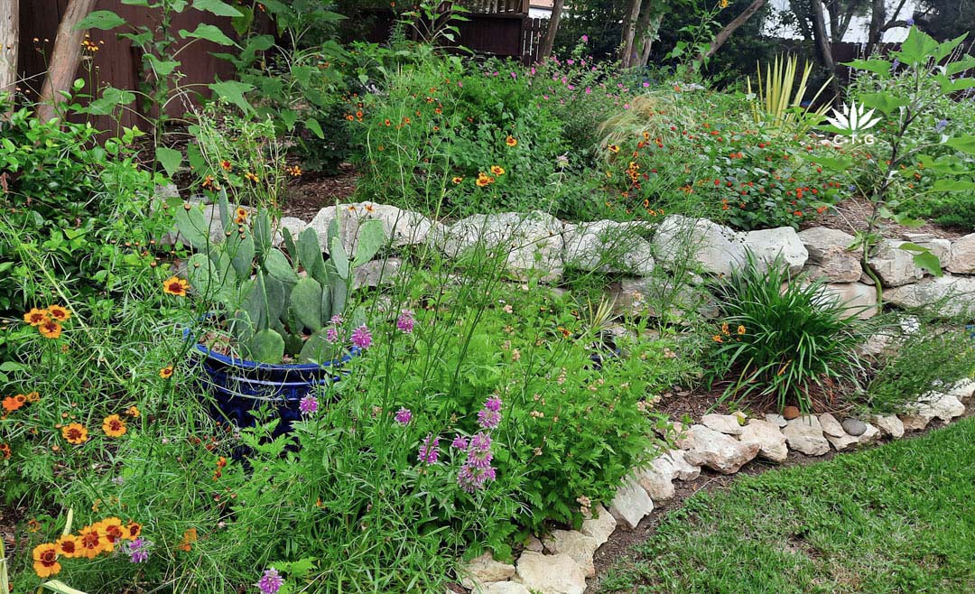  colorful perennials and golden wildflower in rock lined bed next to upper level of perennial garden