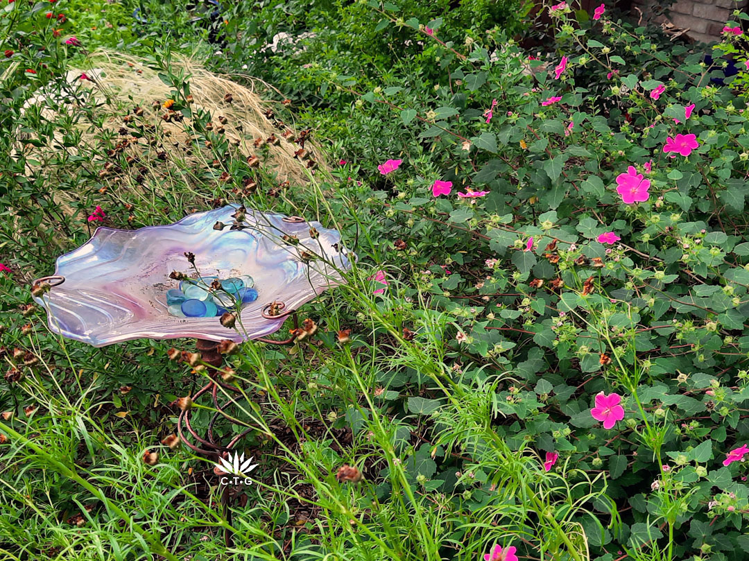 pink flowered perennial next to alabaster shell shaped bird bath holding pale blue glass stones 