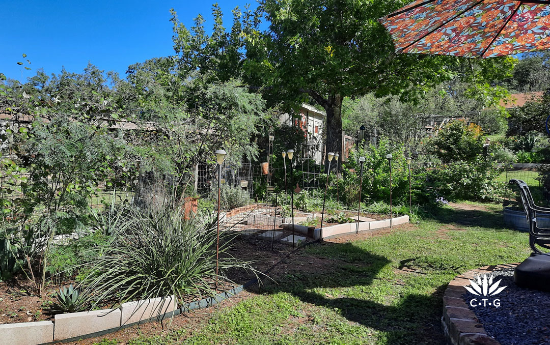 cinder block borders garden beds with succulents and herbs