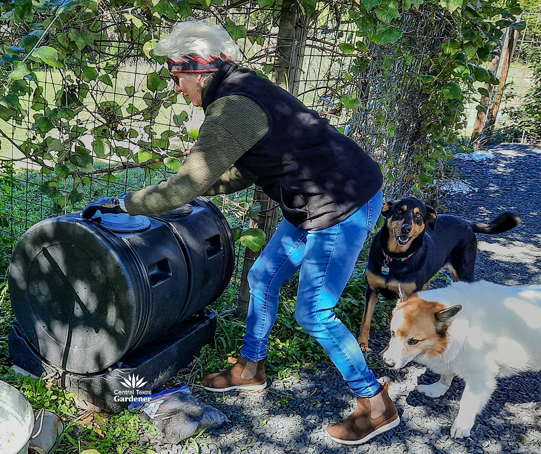 woman turning compost bin