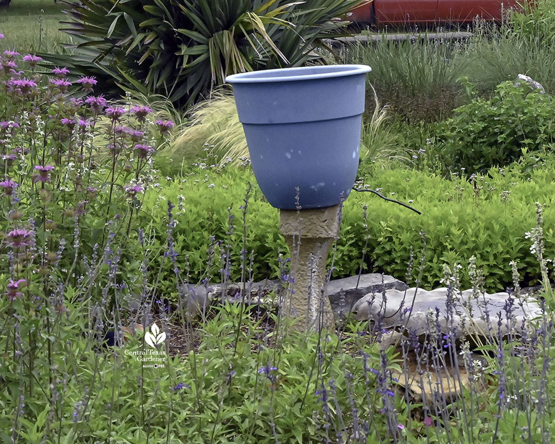 plastic blue pot with copper tube drip tube into birdbath