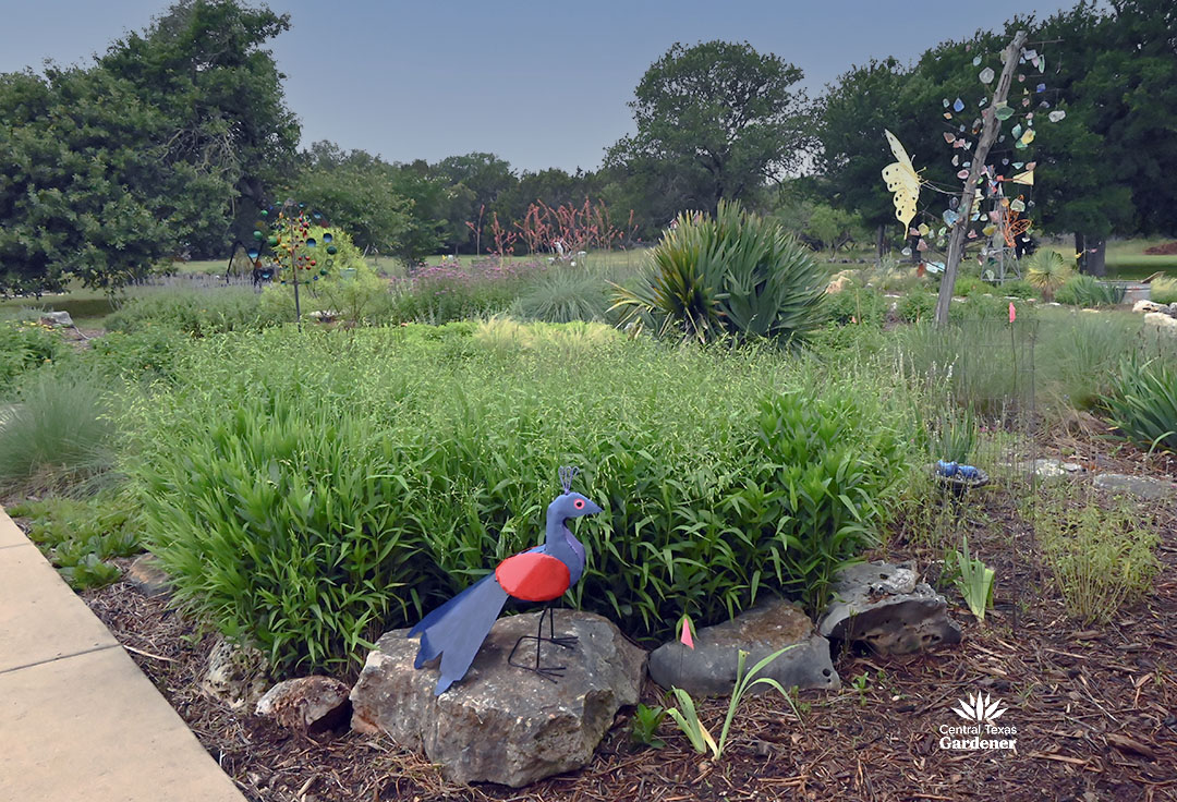 swath of slender-bladed clump grass with metal garden art bird painted red and blue; cedar tree with decorative items and glass chunks mounted to it 