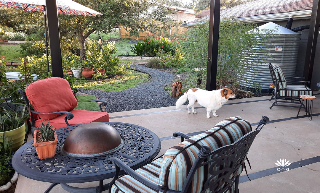 patio furniture, white and brown dog, black path to garden