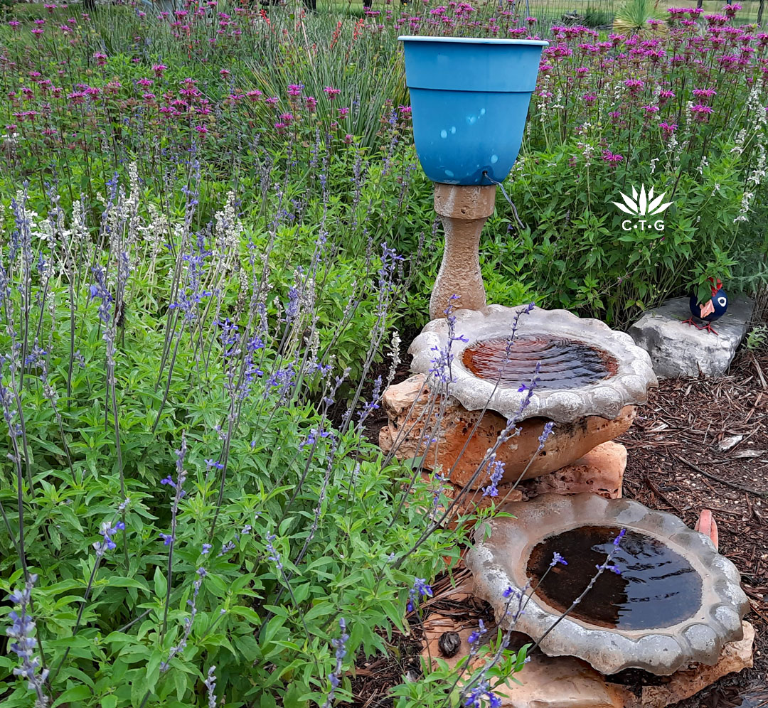 blue plastic pot with copper tube drip tube slowly dripping into birdbath