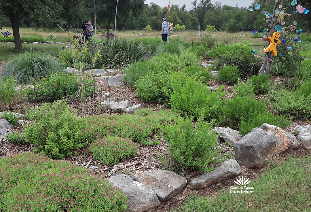 large island bed of perennials and colorful cedar tree post with 