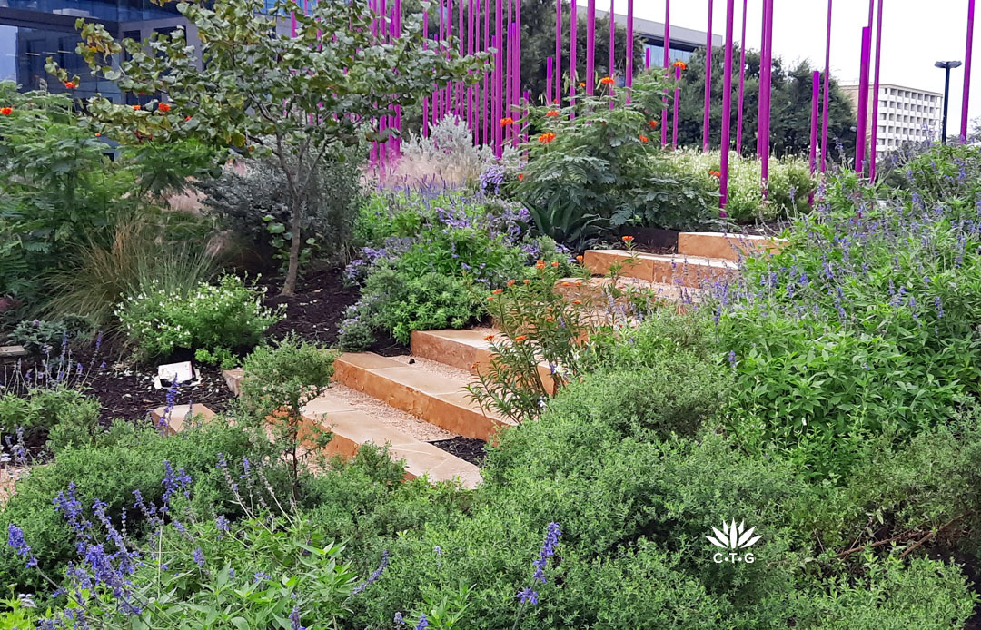 purple light poles above stone steps bordered with native perennials 