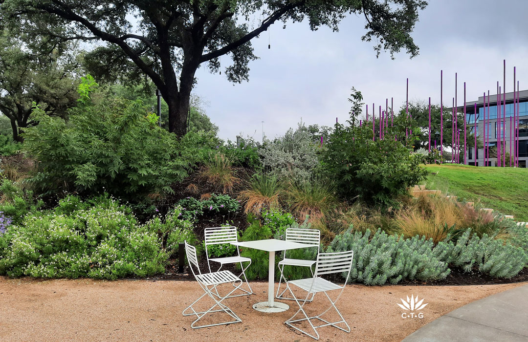 berm of native perennials, grasses, and understory trees above cafe table seating on decomposed granite 