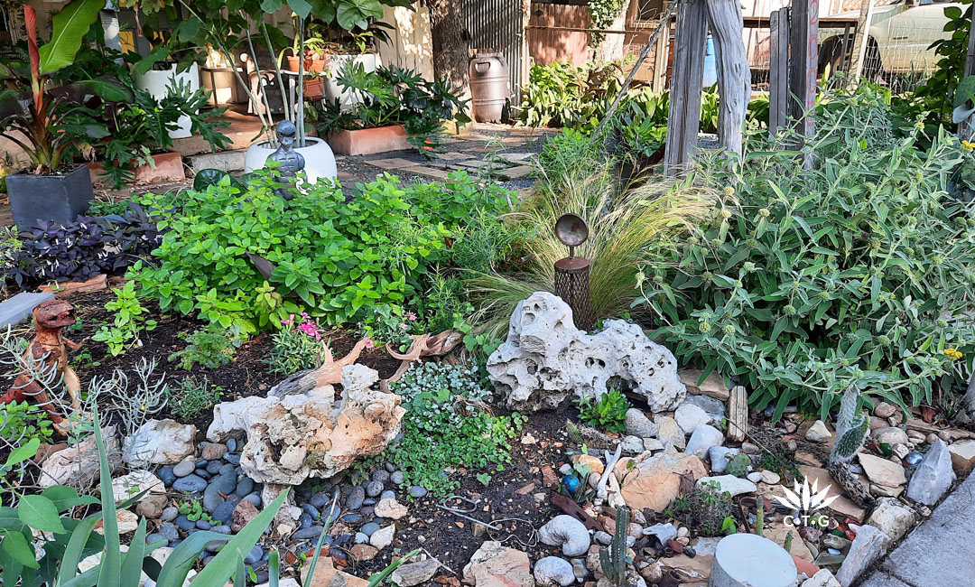 sidewalk bed of herbs and flowers along with artistic stones and garden art figurines