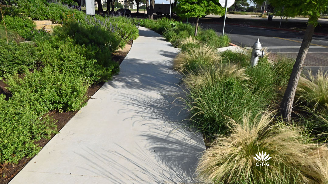 sidewalk bordered with perennials on one side and grasses on the other