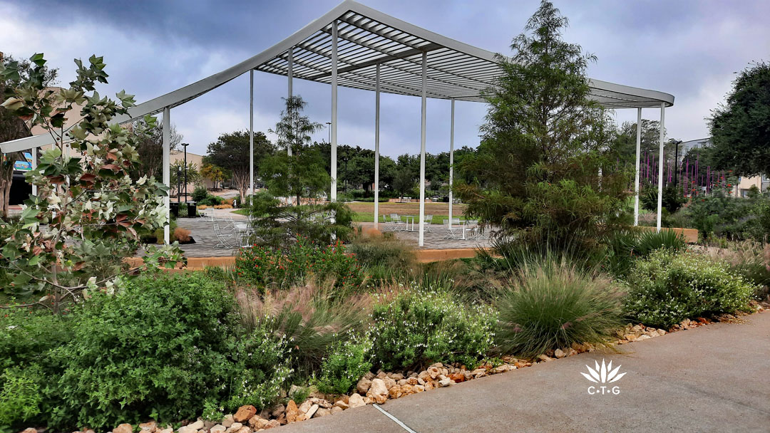 plants against sidewalk and down in rain garden (sponge garden)  next to white slat-topped pavilion