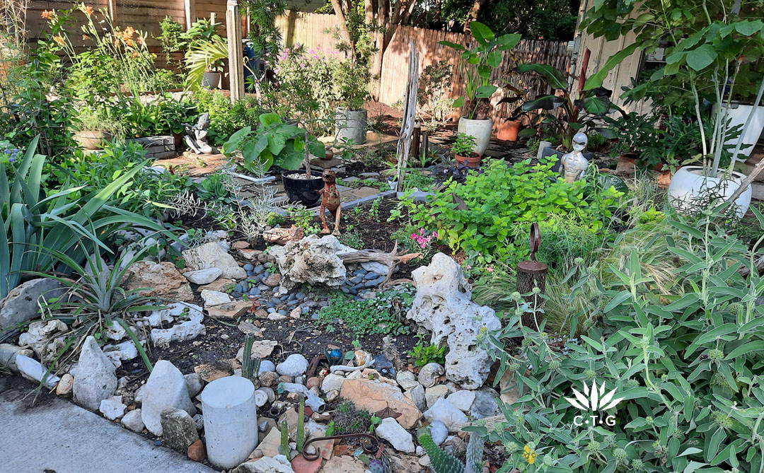 plants among artistic stones and garden art in very small front yard