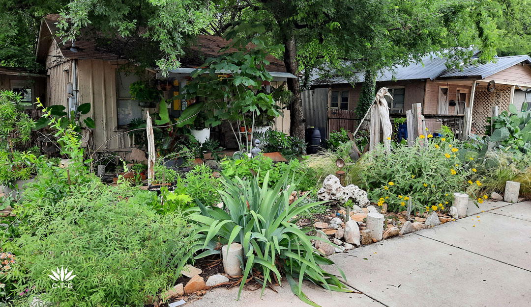 sidewalk bed with flowering plants and succulents 