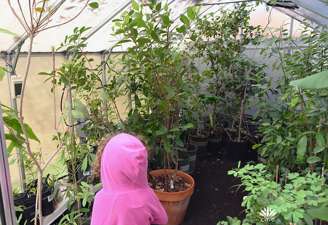 young girl in pink hoodie looking at greenhouse plants