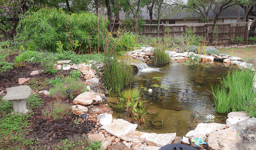 backyard pond with waterfall 