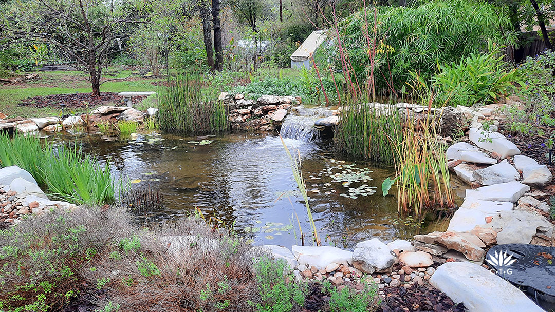 backyard pond against small fruit trees and greenhouses 