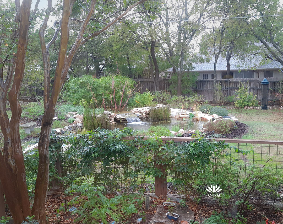 small garden bed to pond view in backyard 